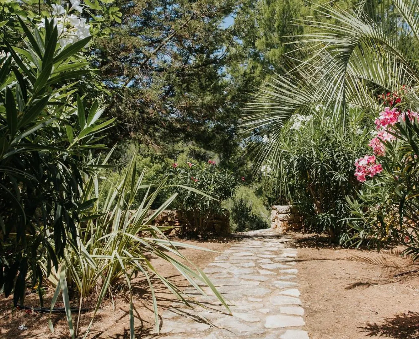 كالا تاريدا Villa & Guesthouse Paissa D'En Bernat كالا تاريدا
